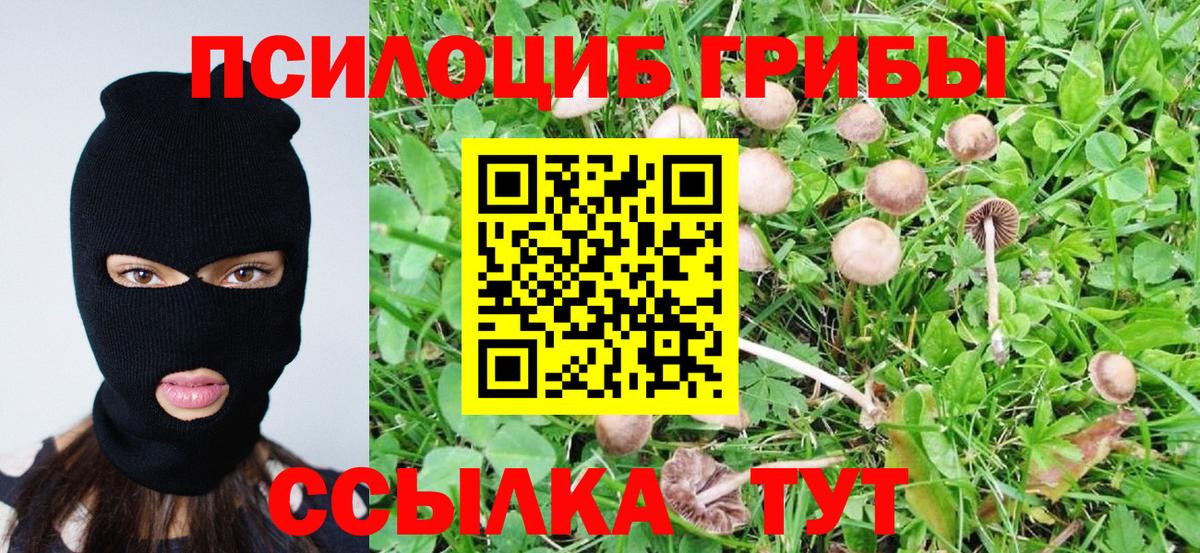 Псилоцибиновые грибы ЛСД Балтийск