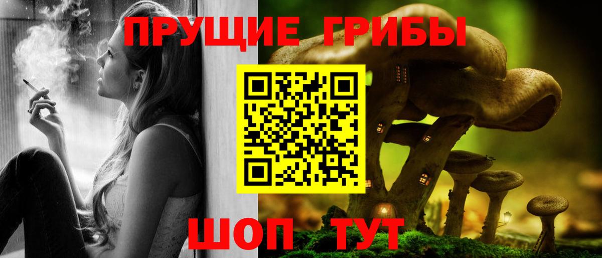 как найти наркотики  Вход с VPN  Галлюциногенные грибы Magic Shrooms  Балтийск  Галлюциногенные грибы MAGIC MUSHROOMS 